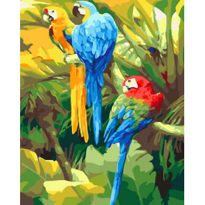  Три попугая Раскраска картина по номерам на холсте CG477