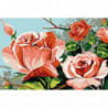 Распустившиеся розы Раскраска картина по номерам на холсте