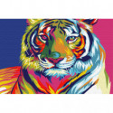 Радужный тигр Раскраска картина по номерам на холсте
