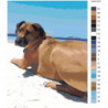 Собака на пляже 75х100 Раскраска картина по номерам на холсте