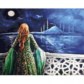 Турецкая принцесса Раскраска картина по номерам на холсте