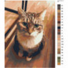 Белогрудый котик Раскраска картина по номерам на холсте