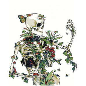 Скелет с цветами и пауком 80х100 Раскраска картина по номерам на холсте