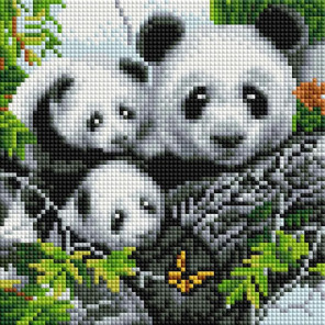 Сложность и количество цветов Милые панды Алмазная вышивка мозаика на подрамнике UС178