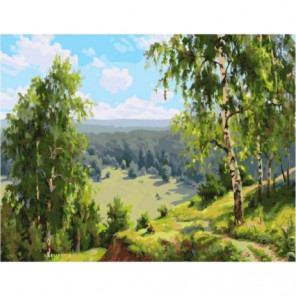 Березовая долина Раскраска картина по номерам на холсте