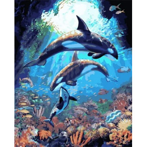  Подводный мир дельфинов Раскраска картина по номерам на холсте GX36069