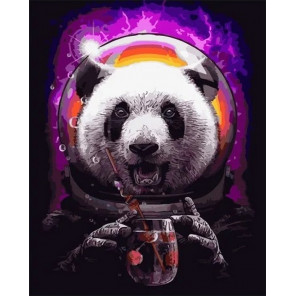  Панда астронавт Раскраска картина по номерам на холсте GX33503