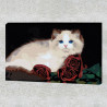 Пример в интерьере Персидская кошка с розами Раскраска картина по номерам на холсте AAAA-RS018