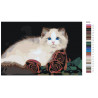 Палитра цветов Персидская кошка с розами Раскраска картина по номерам на холсте AAAA-RS018
