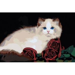  Персидская кошка с розами Раскраска картина по номерам на холсте AAAA-RS018-100x150
