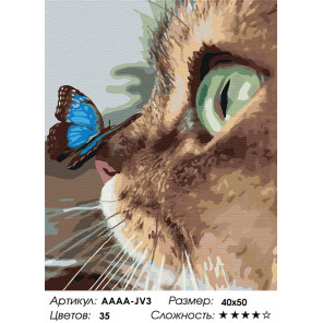Количество цветов и сложность Котёнок и бабочка на носу Раскраска картина по номерам на холсте AAAA-JV3