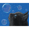  Черный кот и мыльные пузыри Раскраска картина по номерам на холсте AAAA-JV1-80x100