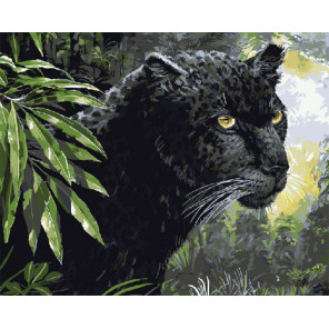  Взгляд пантеры Раскраска картина по номерам на холсте ZX 20056