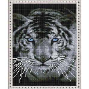  Взгляд белого тигра Алмазная вышивка мозаика на подрамнике EQ10365