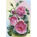 Розовые розы Раскраска по номерам на холсте