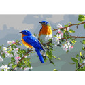 Весенние птицы Раскраска по номерам на холсте