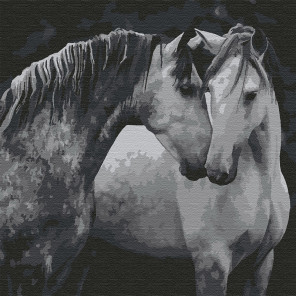  Пара лошадей Раскраска картина по номерам на холсте KHM0036