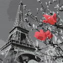 Париж в цвету Раскраска картина по номерам на холсте