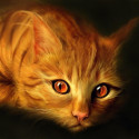 Рыжий котик Алмазная мозаика вышивка без подрамника Molly