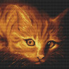  Рыжий котик Алмазная мозаика вышивка без подрамника Molly KM0217