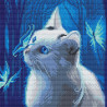  Голубоглазая кошка Алмазная мозаика вышивка без подрамника Molly KM0218