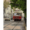 Трамвай Аннушка Картина по номерам с цветной схемой на холсте