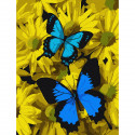 Синие бабочки в цветах Раскраска по номерам на холсте Molly