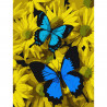  Синие бабочки в цветах Раскраска по номерам на холсте Molly KH0794
