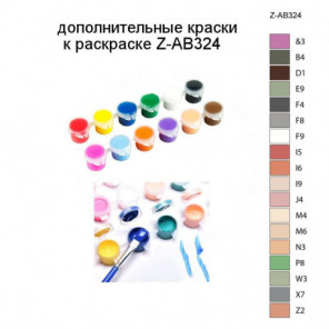 Дополнительные краски для раскраски Z-AB324
