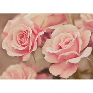 Розовые розы Алмазная вышивка (мозаика) Гранни