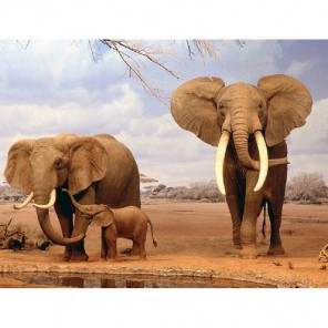 Африканские слоны Алмазная вышивка (мозаика) Гранни