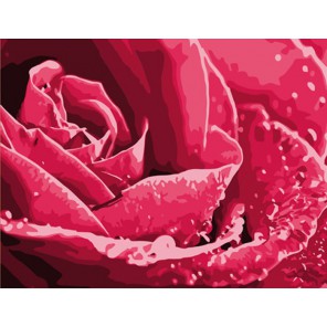 Розы цвет Алмазная вышивка (мозаика) Color Kit