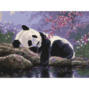  Отдых панды в саду под сакурой Раскраска картина по номерам на холсте EX6535