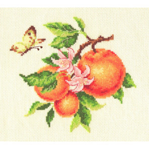  Ветка апельсина Набор для вышивания Многоцветница МКН 25-14