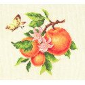 Ветка апельсина Набор для вышивания Многоцветница