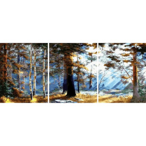Сложность и количество цветов Первые лучи солнца в лесу Триптих Раскраска картина по номерам на холсте РХ5305