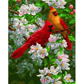 Сложность и количество цветов Яркие птички на яблоне Раскраска картина по номерам на холсте МСА443