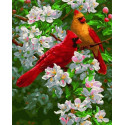 Яркие птички на яблоне Раскраска картина по номерам на холсте