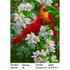 Сложность и количество цветов Яркие птички на яблоне Раскраска картина по номерам на холсте МСА443