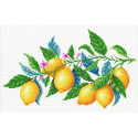 Лимонная гармония Канва с рисунком для вышивки МП Студия