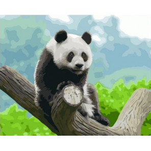  Панда на отдыхе Раскраска картина по номерам на холсте GX37535