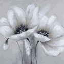 Белые цветы Раскраска картина по номерам на холсте Molly