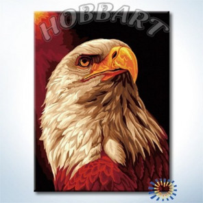  Гордый орел Раскраска картина по номерам на холсте Hobbart HB3040140-LITE