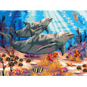 Красочный мир дельфинов Раскраска картина по номерам на холсте