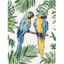 Сине-желтые ара Набор для вышивания Овен