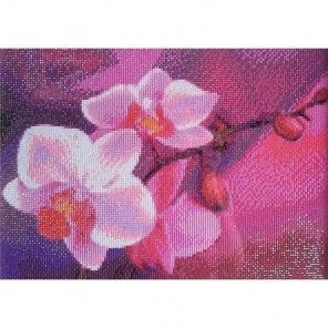 Ветвь орхидеи Алмазная вышивка (мозаика) Гранни