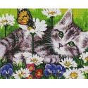 Котик на лугу Алмазная мозаика вышивка на подрамнике