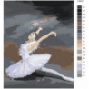 Балерина Лебединое озеро Раскраска картина по номерам на холсте