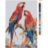 Пестрые попугаи Раскраска картина по номерам на холсте