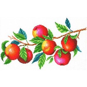 Пример оформления в рамку Урожай яблок Канва с рисунком для вышивки МП Студия СК-106